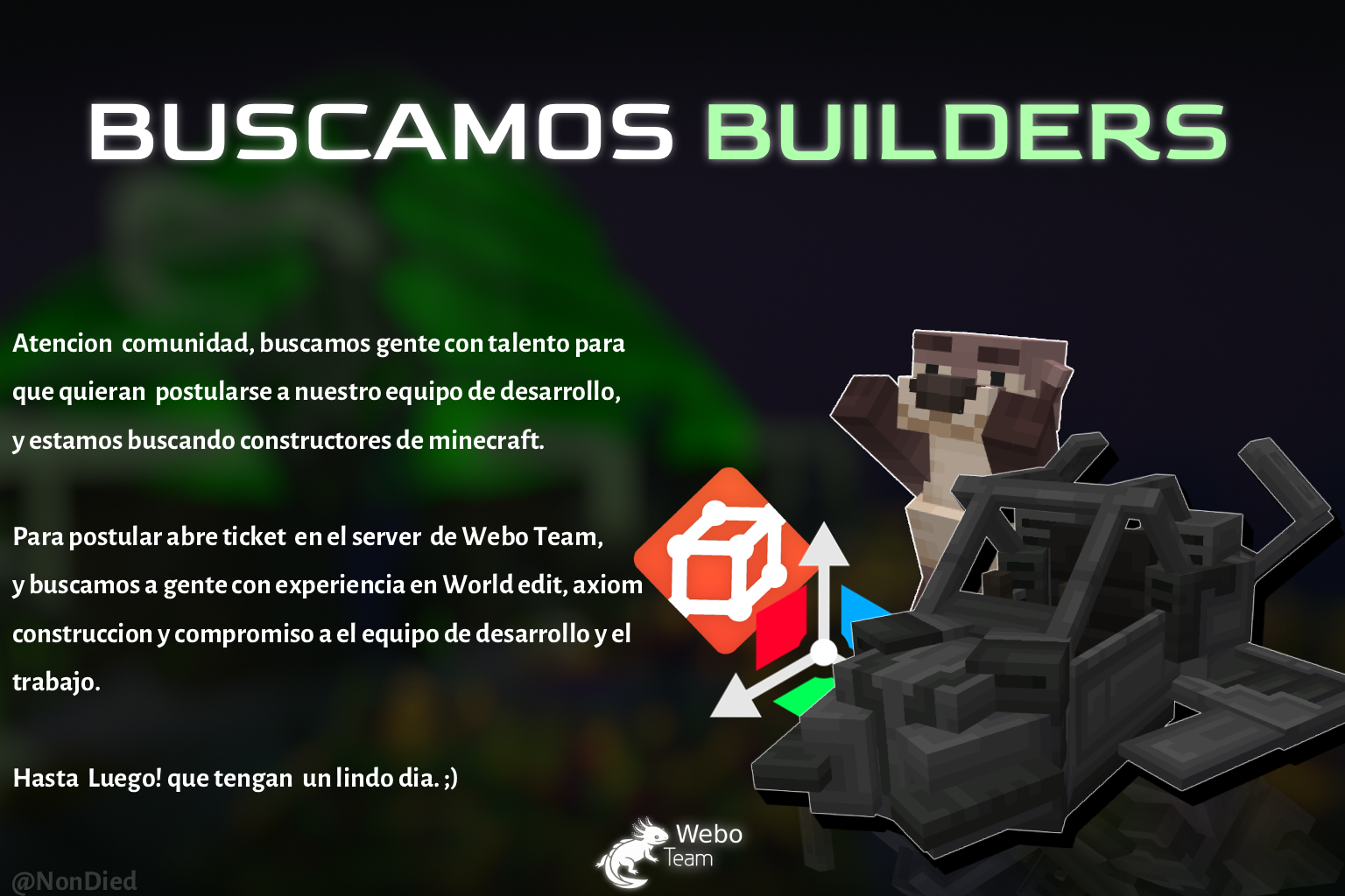 Diseño de buscamos builders